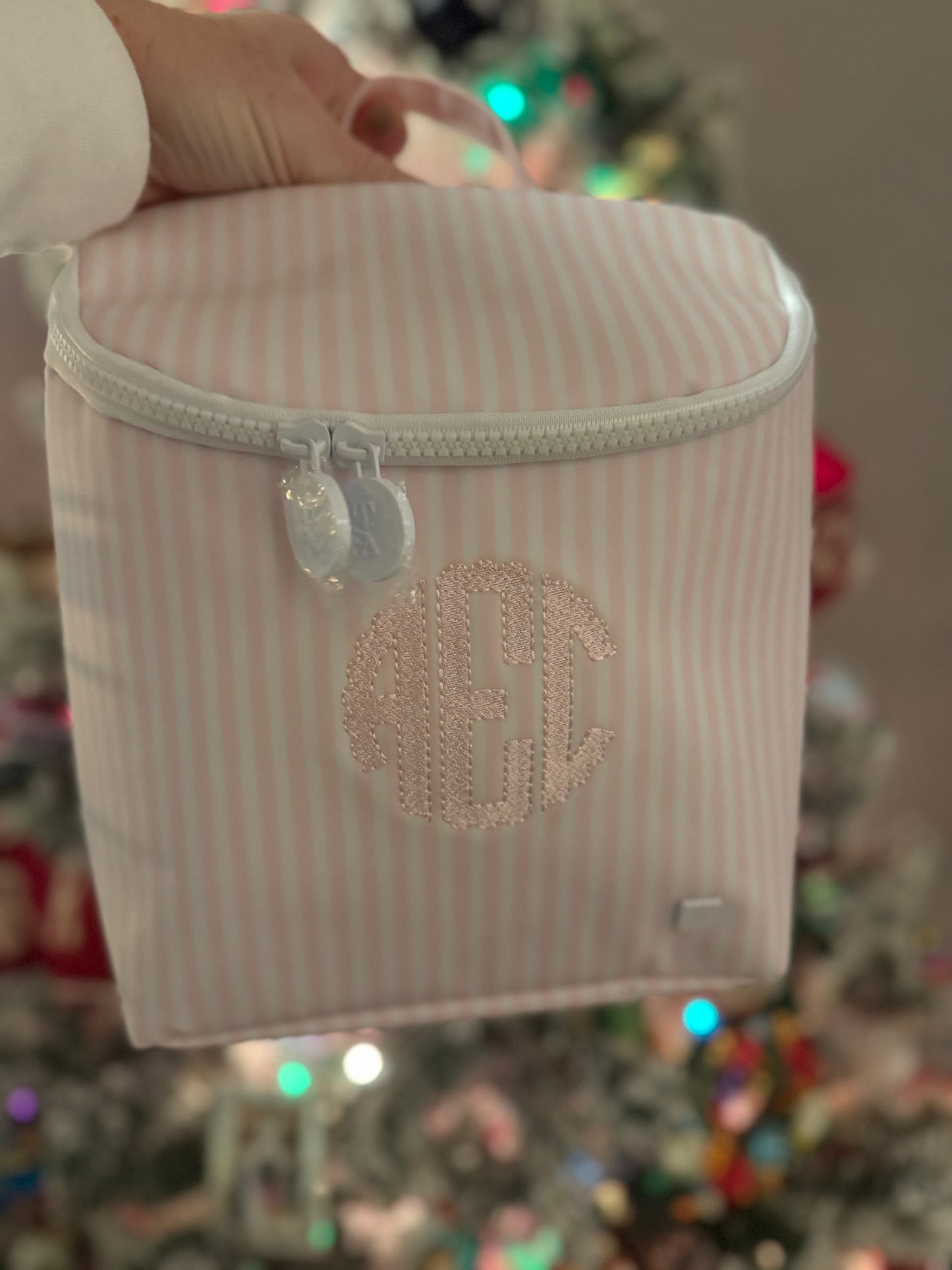 TAKE AWAY Lunch Bag - Insulated PIMLICO STRIPE PINK by TRVL Designs