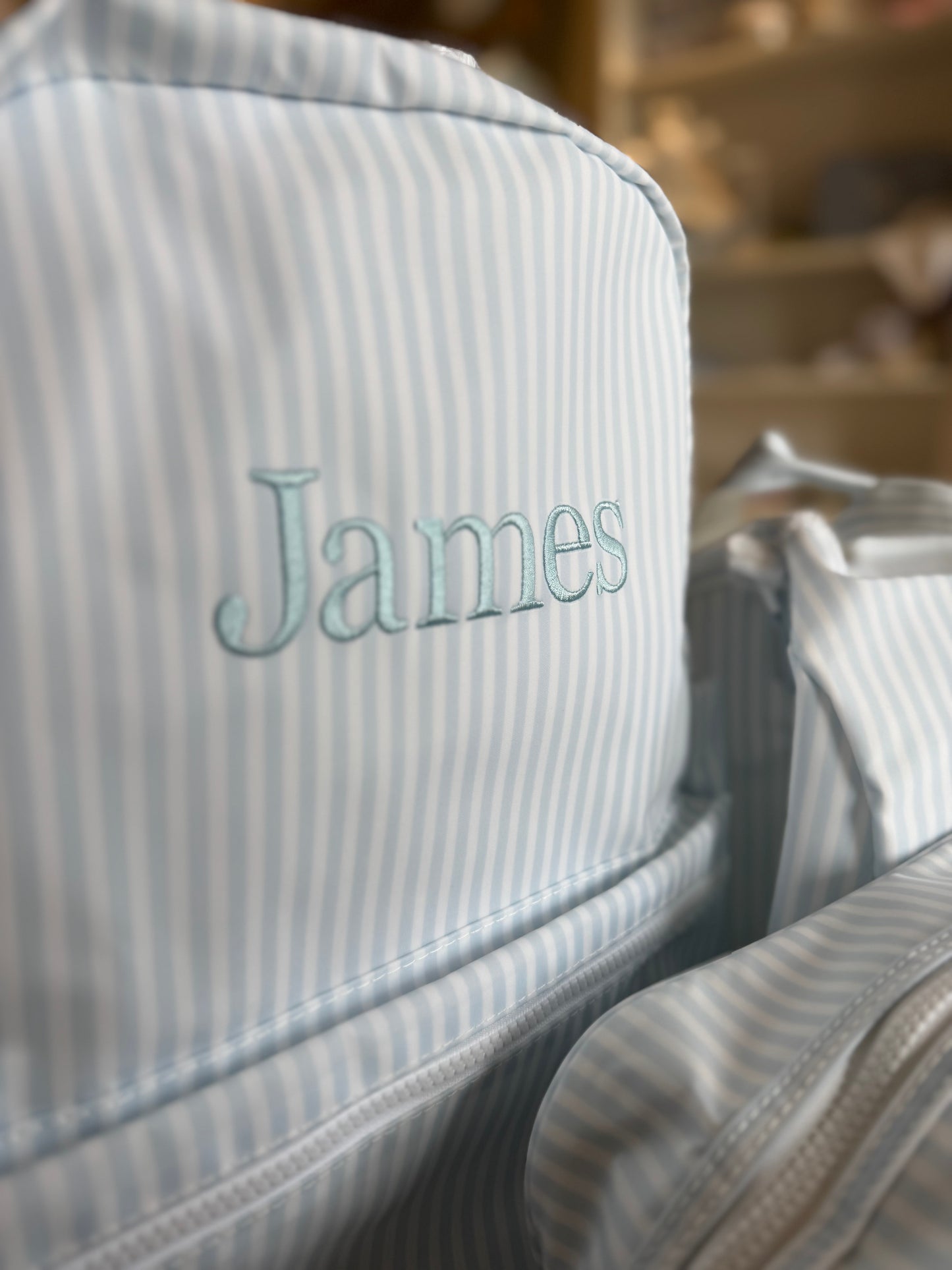 Backpacker - Pimlico Blue Stripe by TRVL Designs