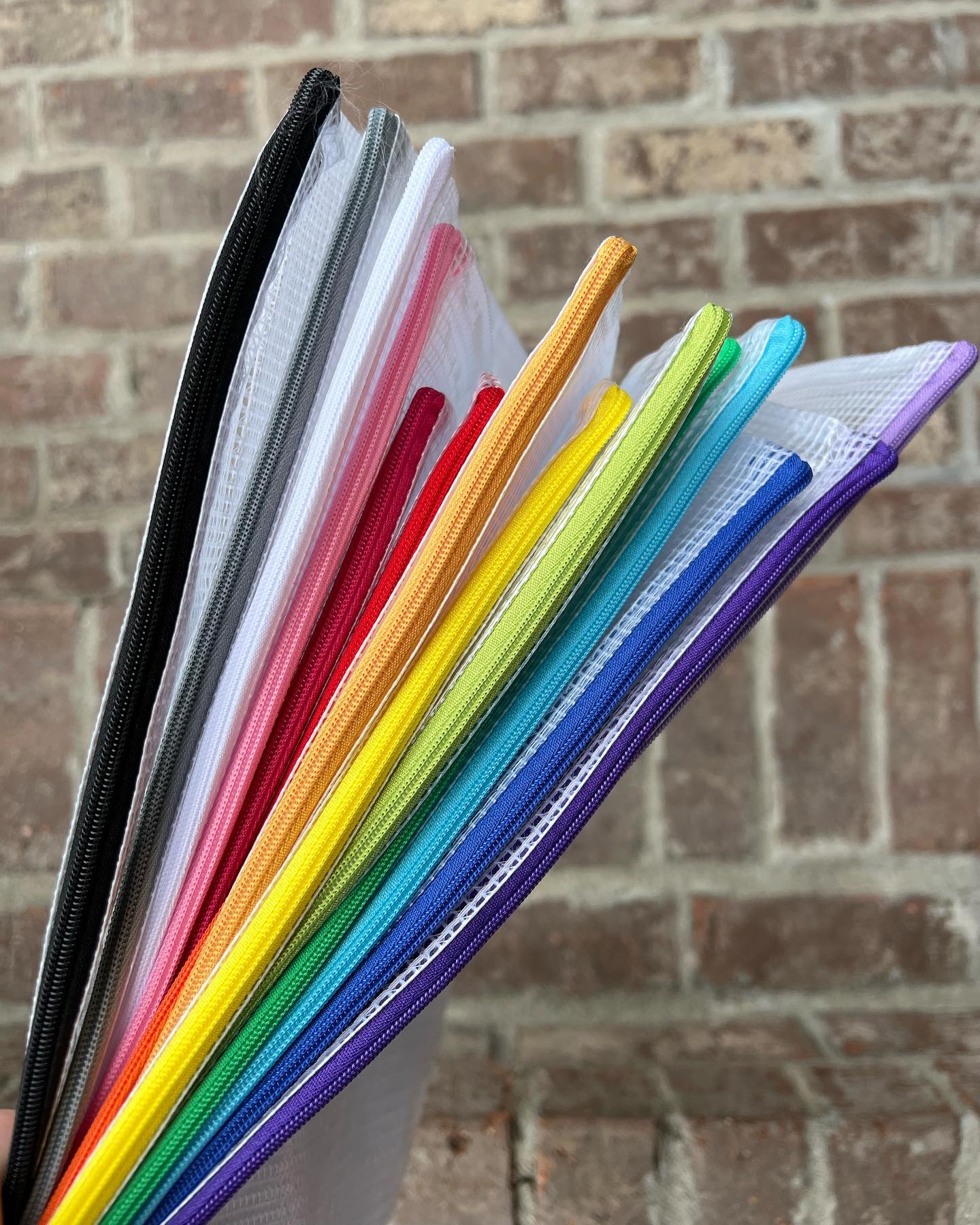 Mesh Organizer Bags